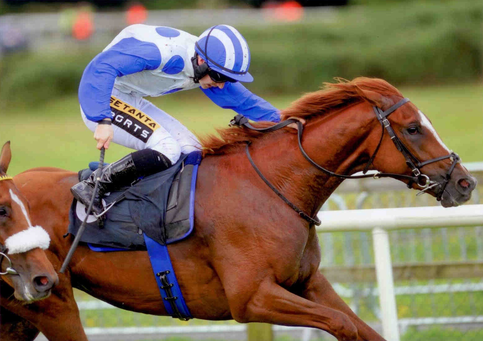 MINT CHAI gets the ball rolling at Bellewstown on August 26th 2015